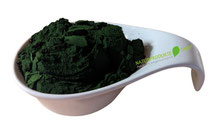 Algen Mix Pulver