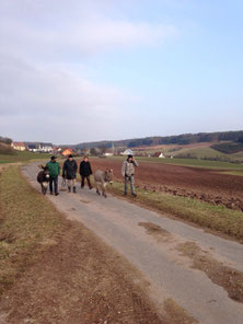 Bounty, Wolfgang, Georg, Elfriede, Mr. Tom und Seppo