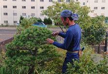 植木屋　造園業　手入れ