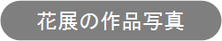 佳生流花展