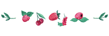 pate de fruit framboiseraie