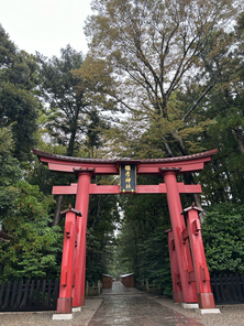 ナゼか行く⁉　山奥神社