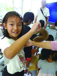 初めて見る本物のイガグリにびっくり。奥は清水さん=15日、竹富小中学校
