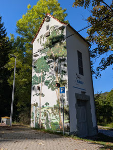 Foto: NABU Ilm-Kreis