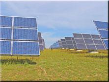 Bild: Solarpark, Solarpanel