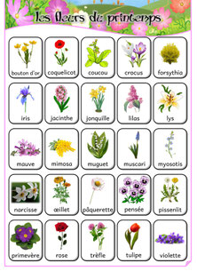 Affiche imagier des fleurs du printemps à l’école primaire