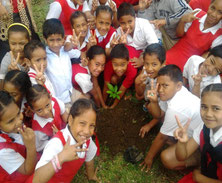 Longolongo national elementary school in Tongatapu Island