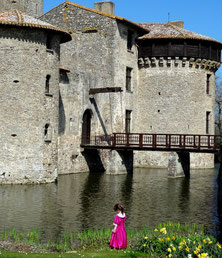 castle bed and breakfast west view
