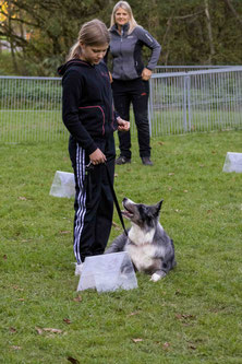 Mädchen mit schwarzer Trainingsjacke und Hose hält Hund an der Leine, der auf dem Gras vor einem kleinen aufgestelltem Schild liegt und nach oben schaut, im Hintergrund steht eine weitere Person.