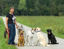 Die Bande