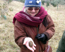Black truffle hunting in Pergord