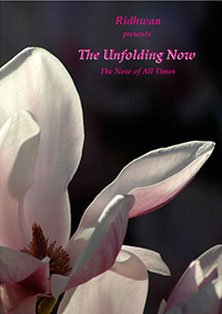 DVD: The Unfolding Now - The Now of all Times