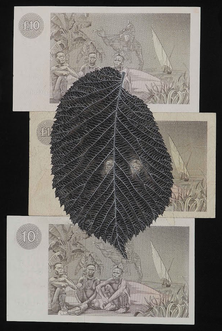 Fiona Hall, Ulmus glabra; Scotch elm, from the series When My Boat Comes In 2003, gouache on banknotes, 25.3 x 16.7 cm, courtesy of the artist and Roslyn Oxley9 Gallery, Sydney. 