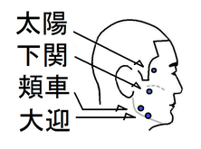 美容 ツボ健康療法講座 美容 ツボ健康療法講座