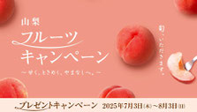 山梨ぶどうプレゼント