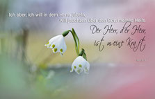 Märzenbecher im Frühling, Christliche Karten