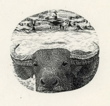 2021　The Way You came, A way to go　7.1x7.7cm  Limited Edition 30　Wood Engraving ¥11,000