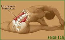 腰方形筋ストレッチ
