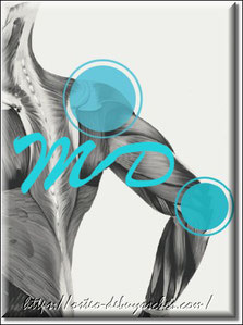 Site de debuysscher-osteo !