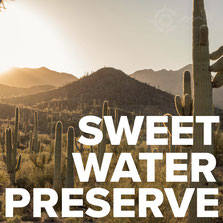 beeindruckende Kakteen in Tucson, Sweet Water Preserve wunderschlöne Kakteen und tolle Landschaften in Tucson