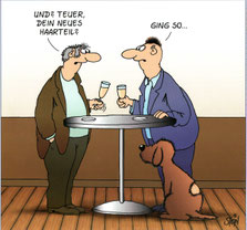 Armer Hund