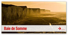 La Baie de Somme et le littoral picard