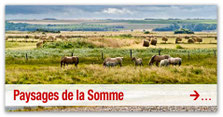 Paysages de la Somme et de Picardie