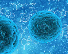 Ursachen von Krankheiten