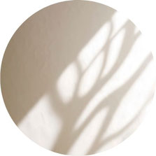 Schatten eines Baumes vor beigem Hintergrund.