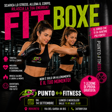 FITBOXE