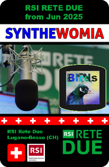 RSI Rete Due play "Birds" from Synthewomia