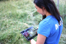 Foto: NABU/Ann-Kathrin Mertz