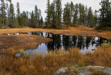 Wandern im Seefeld Habkern