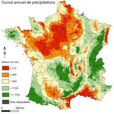 La reforestation en France favorisera le cycle de l'eau pour atténuer les effets du réchauffement climatique. 