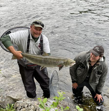 Lachs angeln Norwegen, in großen Flüssen, in Straumen in Meeresbuchten mit Fliege und Blinker, schöne Meerforelle auf Fliege