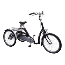 Van Raam Maxi Comfort Dreirad Elektro-Dreirad Beratung, Probefahrt und kaufen in Bad-Zwischenahn