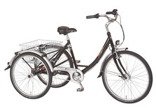 Pfau-Tec Proven Dreirad Elektro-Dreirad Beratung, Probefahrt und kaufen in Wedel