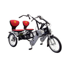 Van Raam Fun2Go Tandem-Dreirad Elektro-Dreirad Beratung, Probefahrt und kaufen in Bad Zwischenahn