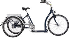 Pfau-Tec Dreirad Elektro-Dreirad Classic in Münchberg