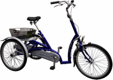 Van Raam Maxi Comfort Dreirad Elektro-Dreirad Beratung, Probefahrt und kaufen in Freiburg Süd