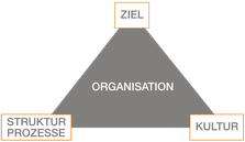 Drei Parameter wirken abhängig voneinander auf die Organisation ein.