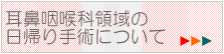 耳鼻咽喉科領域の日帰り手術について