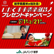 岩手県 米 プレゼント