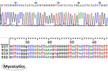 DNA-Sequenz