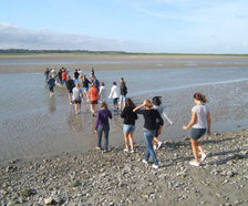 Somme Groupes - Somme - Groupes - Baie de Somme - Voyages en groupes - Scolaires - Promenade en Baie - Activités - Hauts de France - Picardie