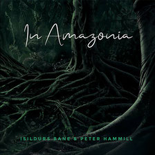 IB - Peter Hammill  - In Amazonia 