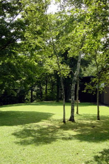 フローリング価格表 - 無垢の家具