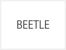 BEETLE