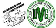 vdh-friesenheims Webseite!