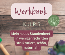 Linkbild zum Workbook-Kurs Staudenbeet